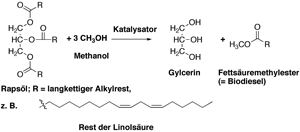 Biodiesel Herstellung durch Umesterung von Rapsöl